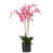 Pink selected