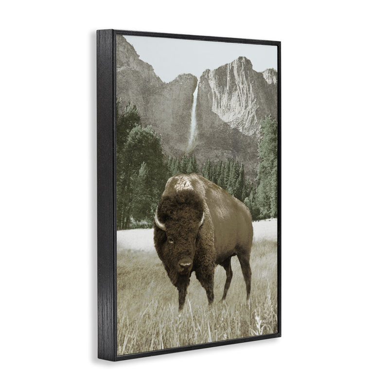 Bison et paysage de montagne, estampe numérique par Dan Meneely, H 18 po x l 12 po, Giclée encadrée noir minuit