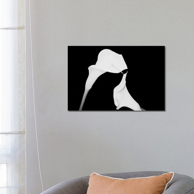 Still Life Shot Of Pierced Calla Lily Flower II by Panoramic Images - Wrapped Canvas Print