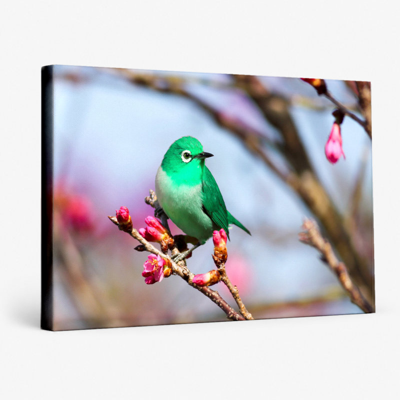 «Green Bird on Blossom Branch», art mural sur toile, 18" W x 12" H