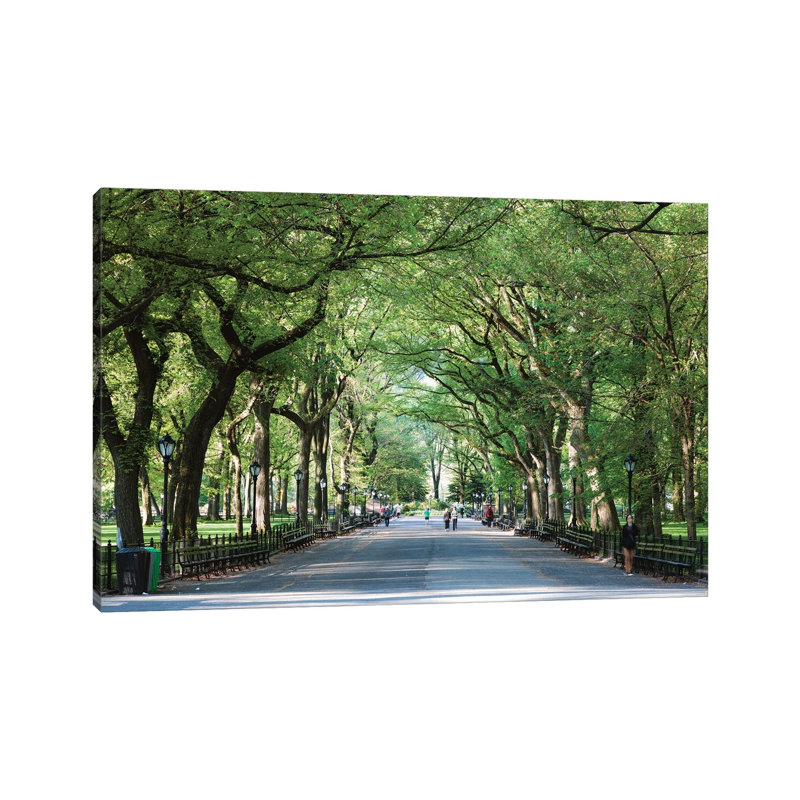 The Mall, Central Park by Matteo Colombo - Wrapped Canvas Print, 20.32 cm H x 30.48 cm W