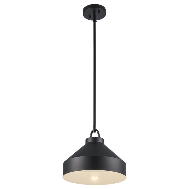 Luminaire suspendu en forme de dôme à 1 lumière Lowen, Noir, H 49,25 po x l 12 po x P 12 po