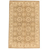 Wool Oriental Area Rug in Green