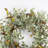26" Every Day Eucalyptus Front Door Pinecone Olive Wreath