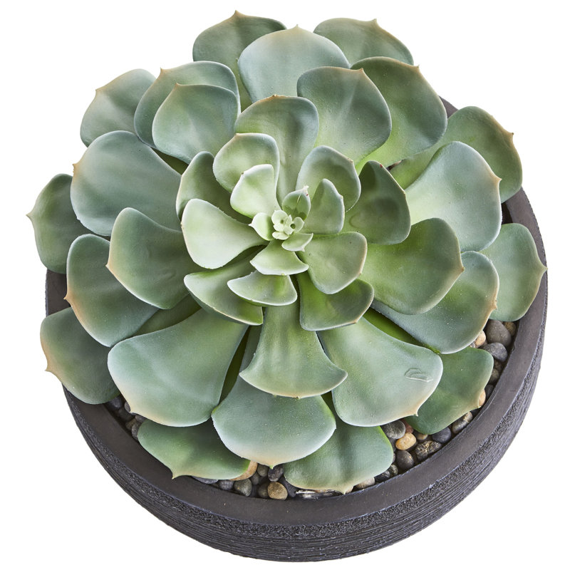10 " H Faux Cactus Plant in Stone Planter