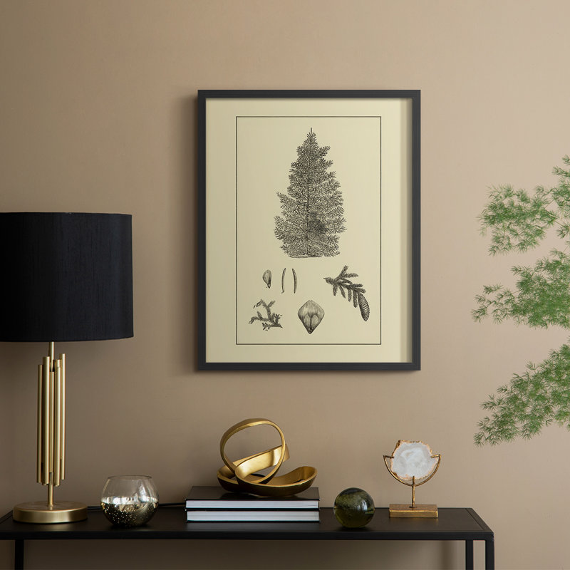 Arbor Study I Framed Print - Solid Wood, Black, 30" H x 24" W