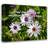 Artsy Quote "True ownership of anything requires time..." By Barbara Holland Gallery Wrapped Canvas