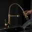Alluring Gold Kitchen Faucet With Pull-Down , Single Lever Adjustment, 360 Swiveling Arm, Option, Ceramic Valve Enchanting Pull Down Spray Head, Control, Degree Swivel Neck, Stream & Function, Brass