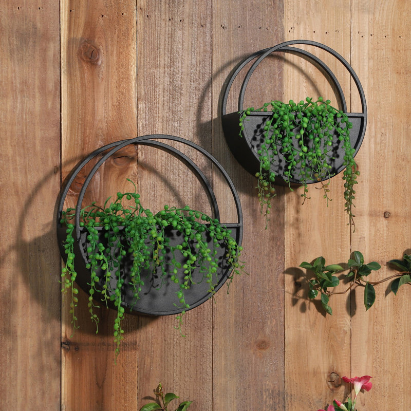 Ensemble de 2 pots à fleurs muraux en métal - fer noir, pots à fleurs ronds suspendus pour la maison et le jardin, supports à plantes muraux décoratifs 12 "et 10"