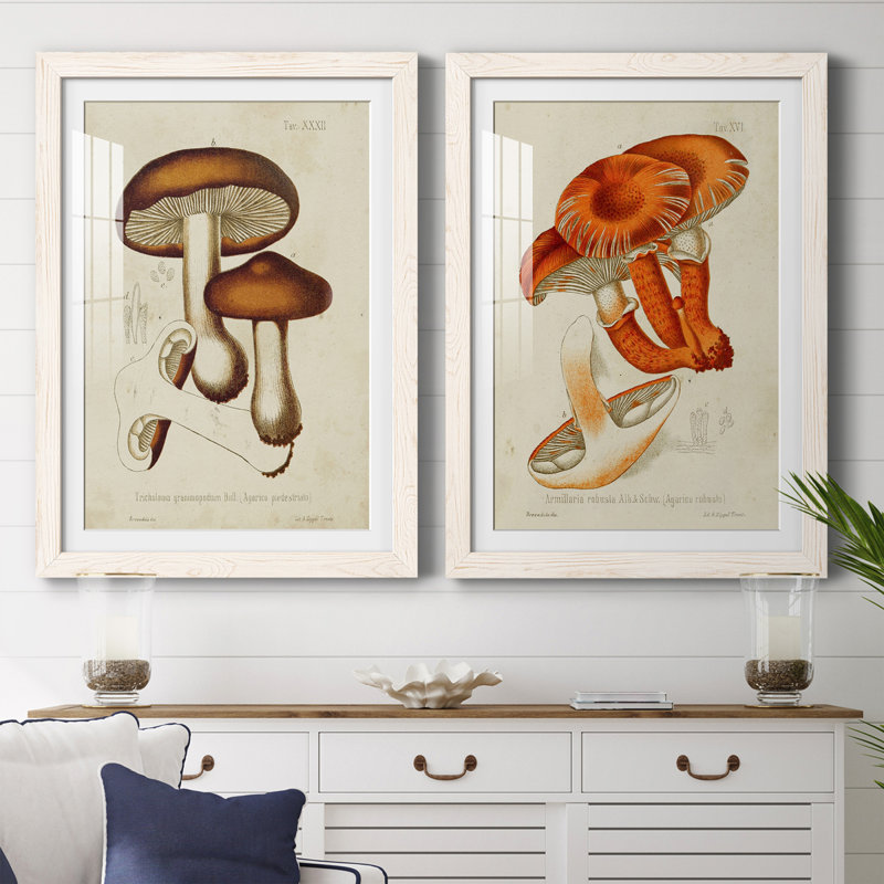 Champignon Variétés VI encadré mat - prêt à accrocher, H 20 po x l 34 po x P 1,5 po, Blanc