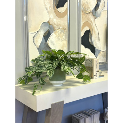 Scindapsus Plant in Ceramic Pot