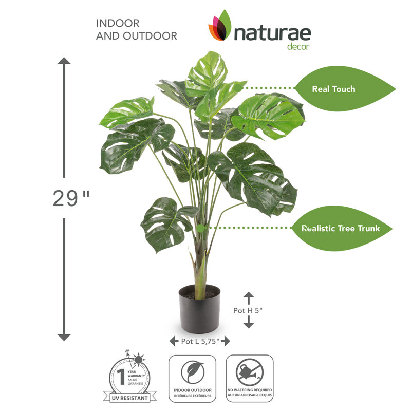 Large Green Plastic Monstera Philodendron Outdoor Floor Plant