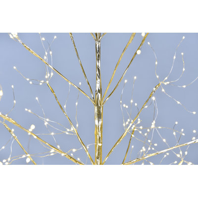 Lighted Trees & Branches