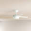 Ventilateur de plafond 44 po-815669104