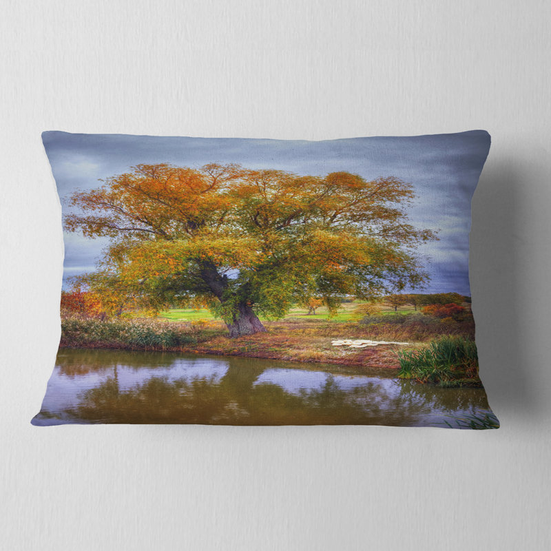 Coussin Schafer