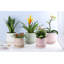Petit pot en terre cuite roulé à la main avec soucoupe intégrée - Intérieur-1299429188-1299429190
