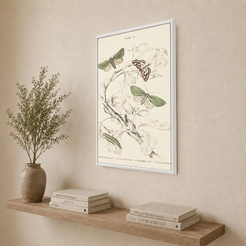 Mariposas I par V. Larkspar - Impression sur toile, H 40 po x l 28 po, Blanc