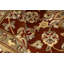 Oriental Area Rug in Red