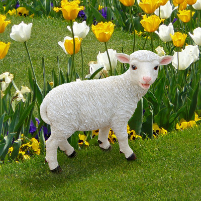 Standing Yorkshire Lamb Statue