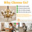 Chandelier-1946277384-1946277385