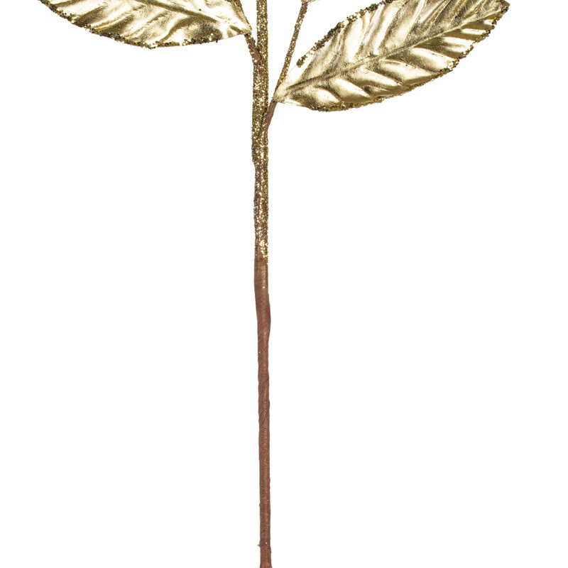 Choix floral, Champagne