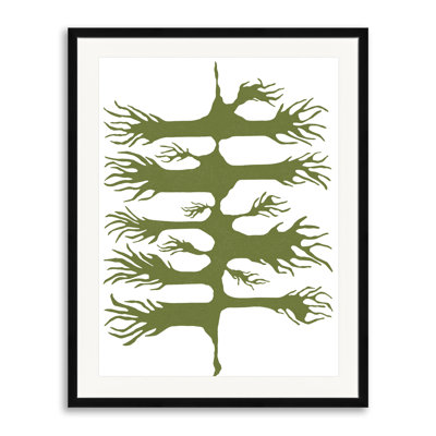 Wild Root par Trish Sierer - impression