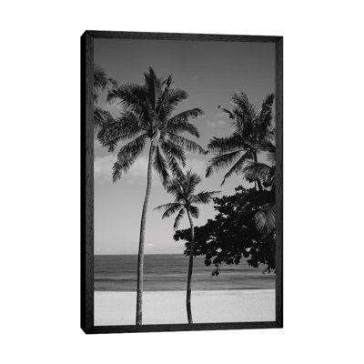Hawaiian Palms V 1 Piece Wall Art on Canvas