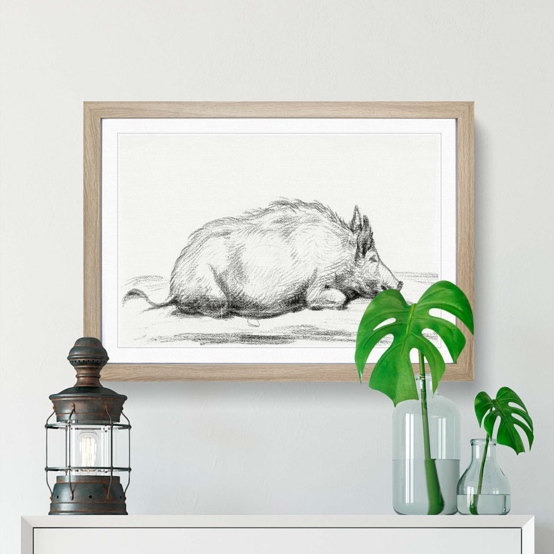 Sketch of a Pig by Jean Bernard - Picture Frame Drawing Print, 48cm H x 65cm W x 2cm D, Oak Framed