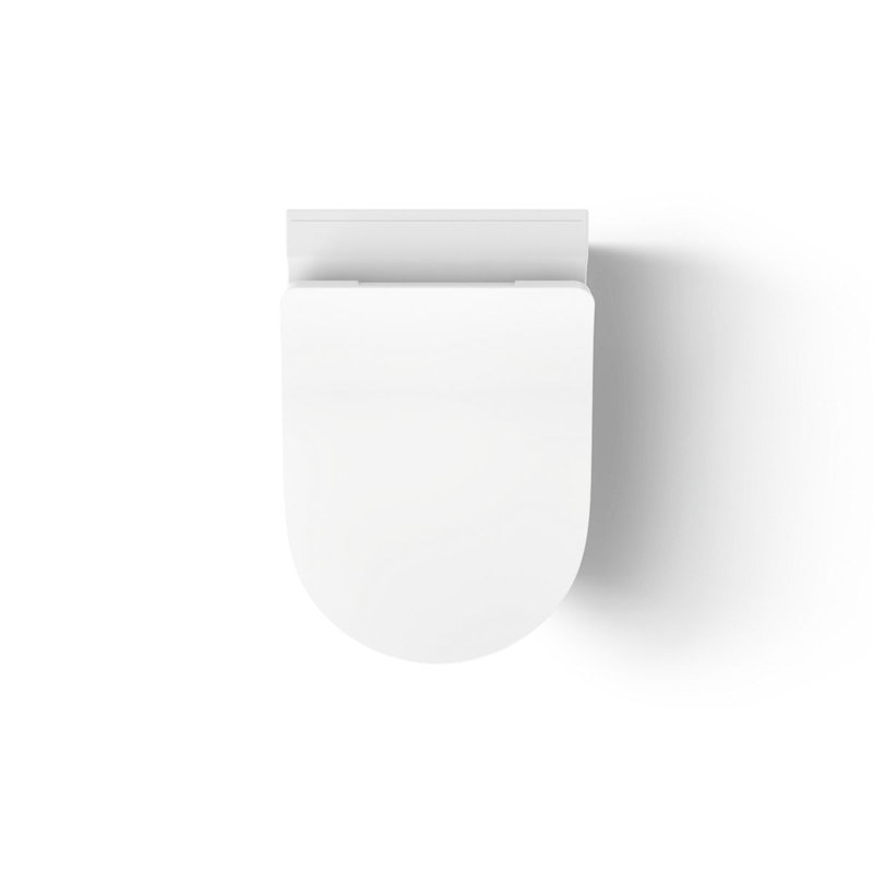Brazn Wall-Hung Round-Front Toilet Dual-Flush