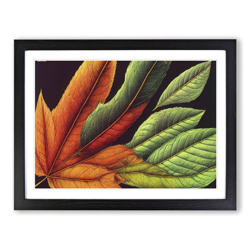 Extravagant Leaf - Single Picture Frame Print, 25cm H x 34cm W x 2cm D, Black