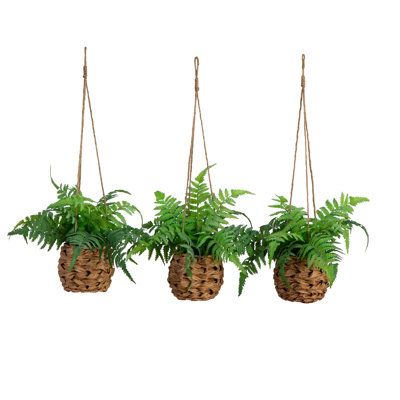 10in. UV Resistant Artificial Boston Fern in Hanging Wicker Basket (Indoor/Outdoor) - Set of 3