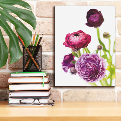 'Spring Ranunculus 6'  by Laura Marshall Canvas Wall Art