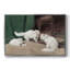 Vintage Animal Print-VI Framed Gallery Wrapped Canvas-98716993