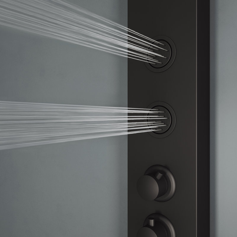 Panneau de douche 59 "avec tête fixe Ellington, Noir mat
