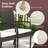  Set of 9 Patio Rattan Dining Set w/ Acacia Wood Table 1.9'' Umbrella Hole