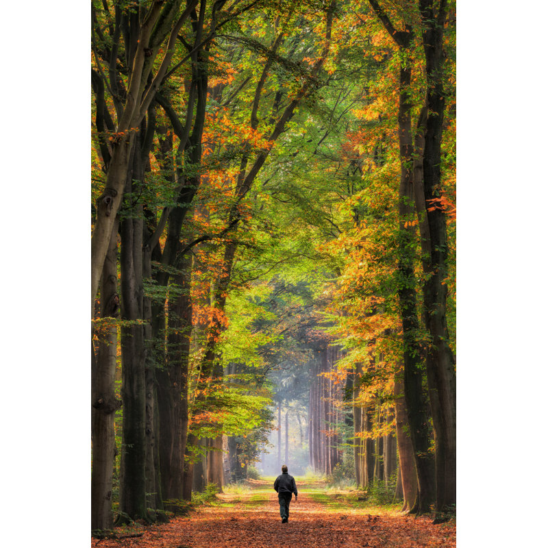 Man Walking In Forest by RelaxFoto.de - Wrapped Canvas Print, 76cm H x 51cm W