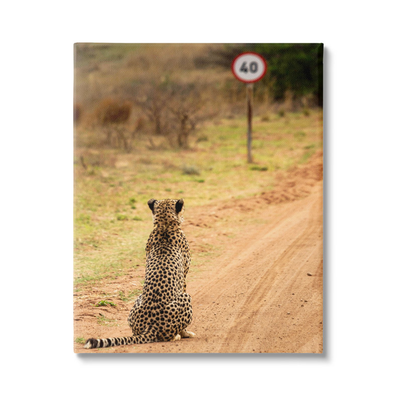 Speedy Cheetah On Road par Vaughan Jessnitz, H 48 po x l 36 po x P 1,5 po