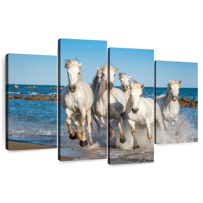 Brampt Camargue Horses