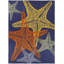 Tapis intérieur / extérieur Pizzicato-212714155