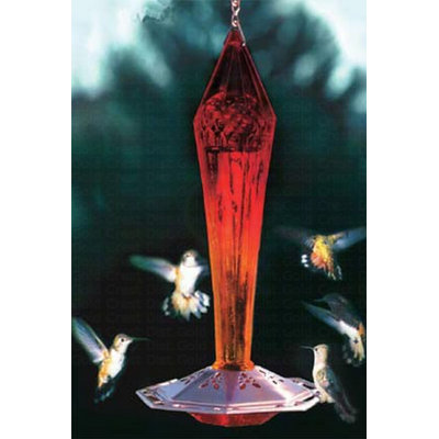 Mangeoire à colibris Wander