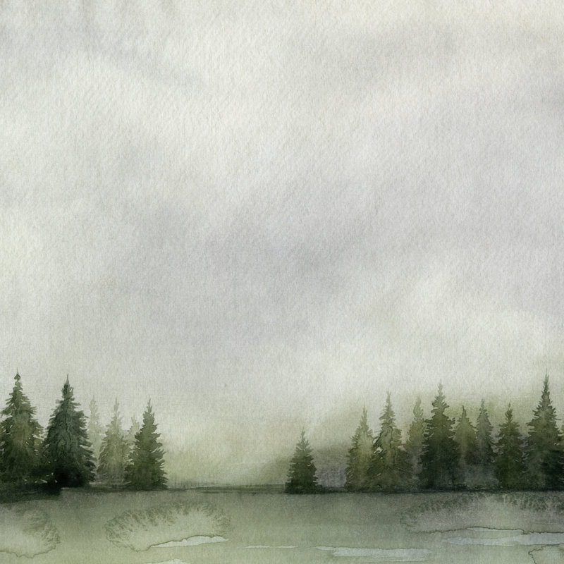 Timberline II by Grace Popp - Wrapped Canvas Painting, 51cm H x 51cm W x 3.8cm D