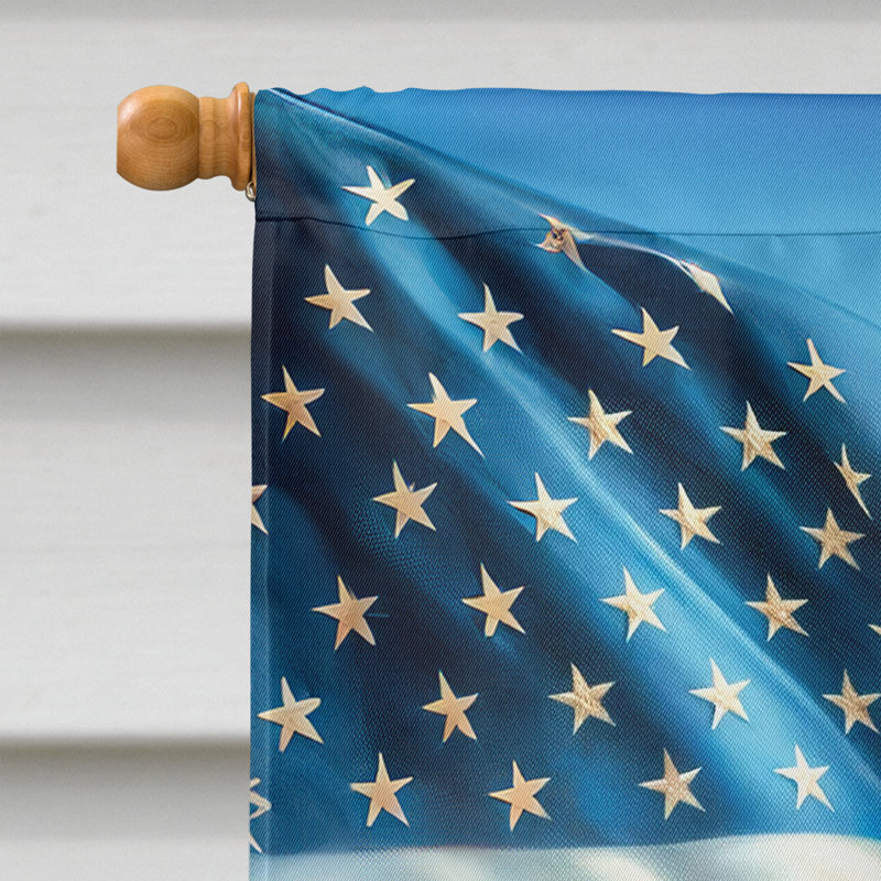 Drapeau «All American House», Chien chinois à crête