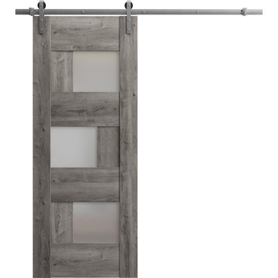 Ensemble de porte de grange robuste en verre givré de 6,6 pi Sete
