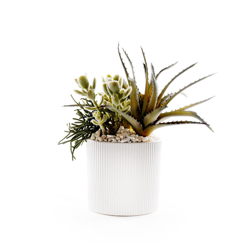 Faux Succulent Plant in Ceramic Planter