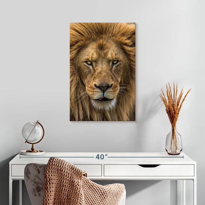 Brampt Handsome Lion Head, 24" H x 16" W