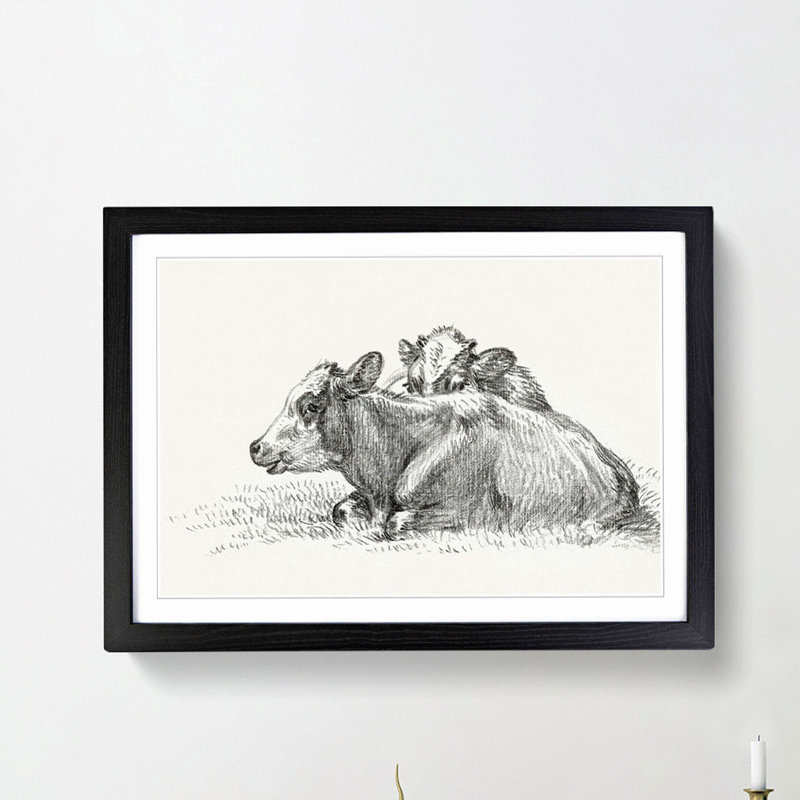 Two Lying Cows by Jean Bernard - Picture Frame Drawing Print, Black Framed, 48cm H x 65cm W x 2cm D