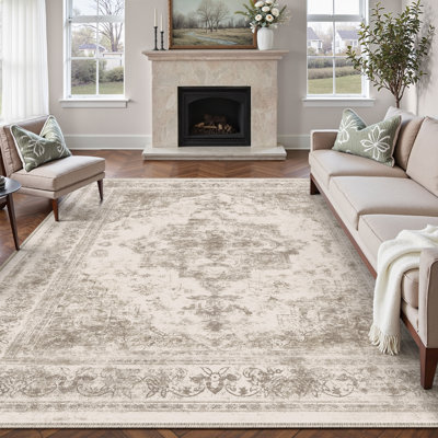 Oriental Area Rug