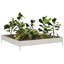 Aryonna Planter Box-1287784456-1287784452