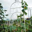 Ensemble de 2 treillis de jardin en métal antirouille de 86,7 po x 19,7 po blanc crème, idéal pour les plantes grimpantes: rose, jasmin, haricots, gloire matinale facile à assembler, raisin,
