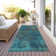Aleighna Area Rug with Non-Slip Backing